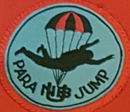 File:UNB Para Jump Badge.jpg